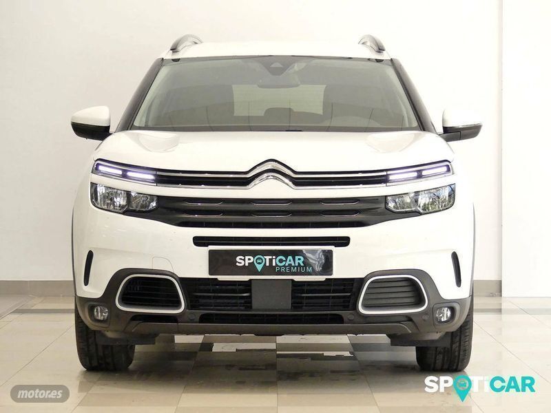 Usado Citroën C5 Aircross Feel 176 CV (129 kW) 2019 Blanco banquise SUV