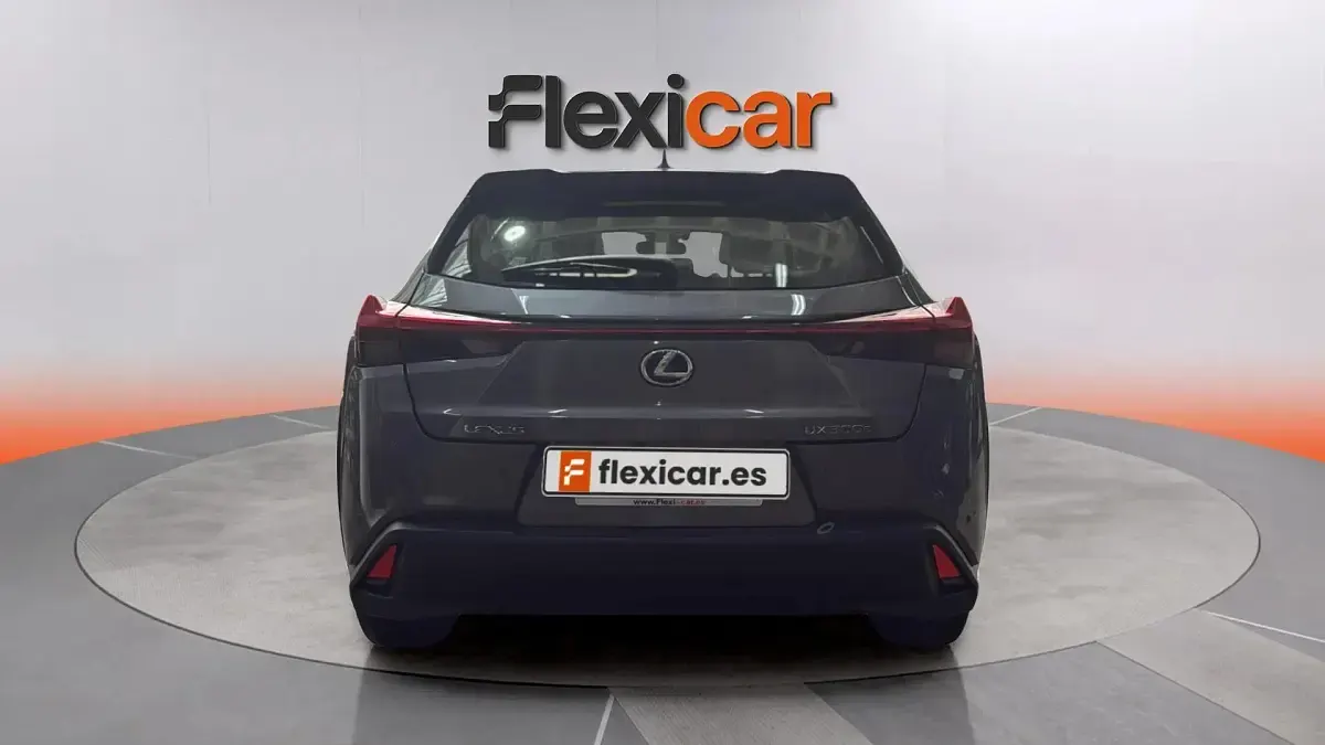 Usado Lexus UX 300e 150 kW (204 CV) 2024 Gris SUV