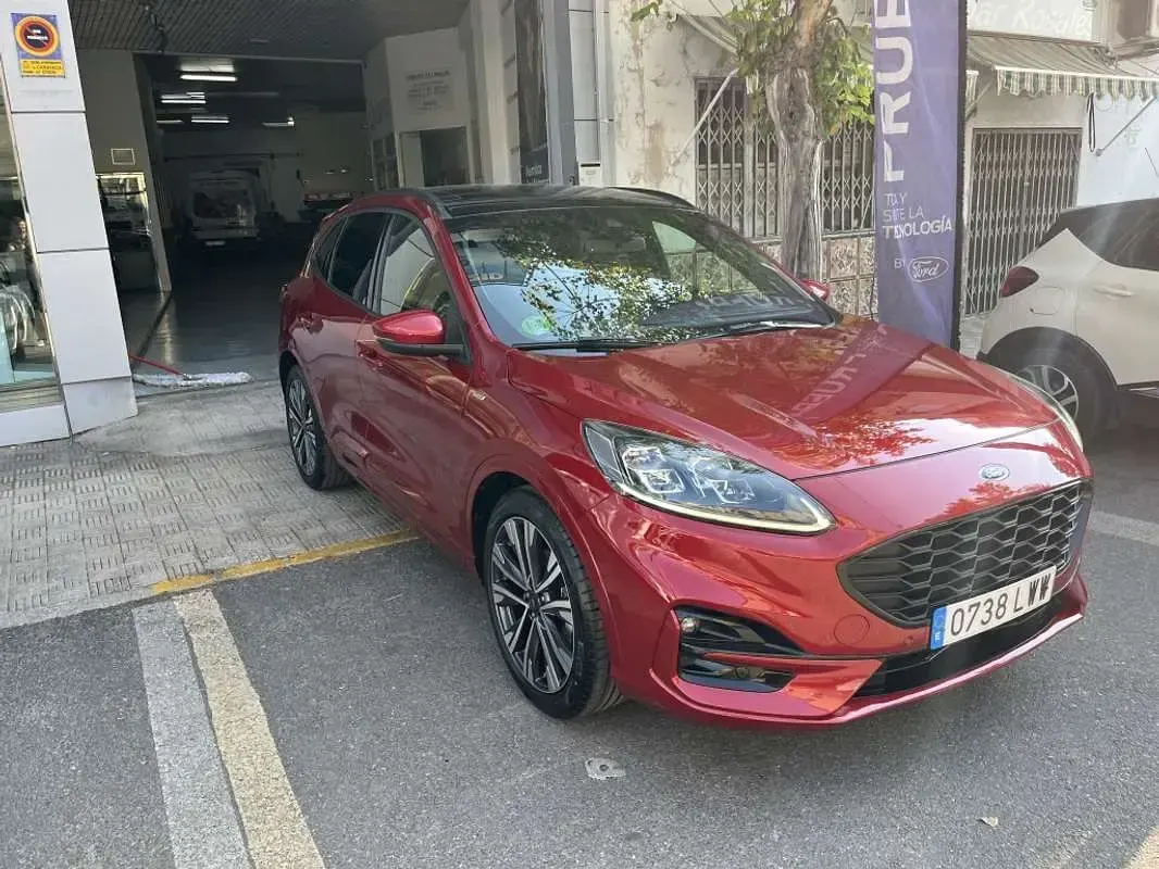 Usado Ford Kuga Trend 150 CV (110 kW) 2022 Burdeos SUV