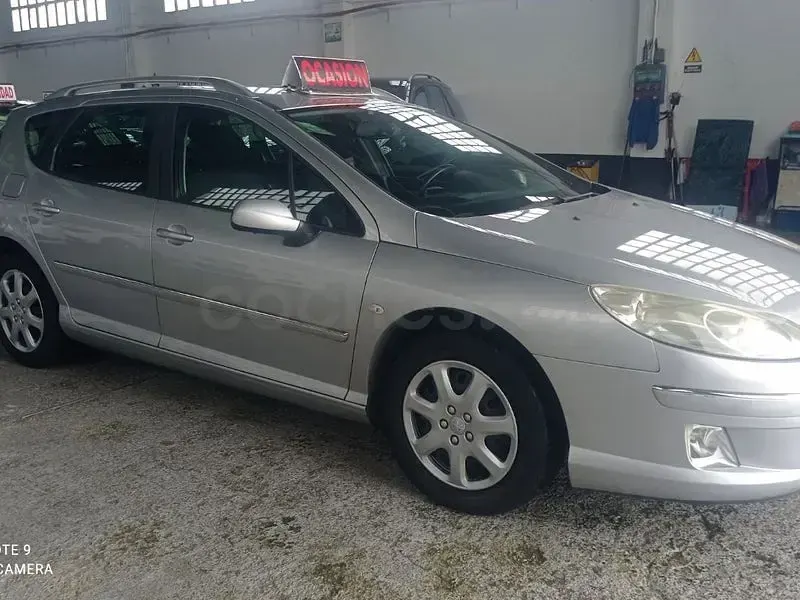 Usado Peugeot 407 Business-Line 110 CV (80 kW) 2009 Gris / plata Familiar
