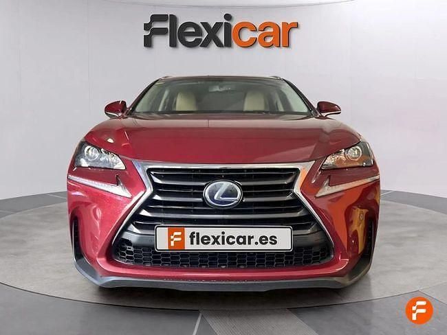 Usado Lexus NX300h 197 CV (144 kW) 2016 Otros SUV