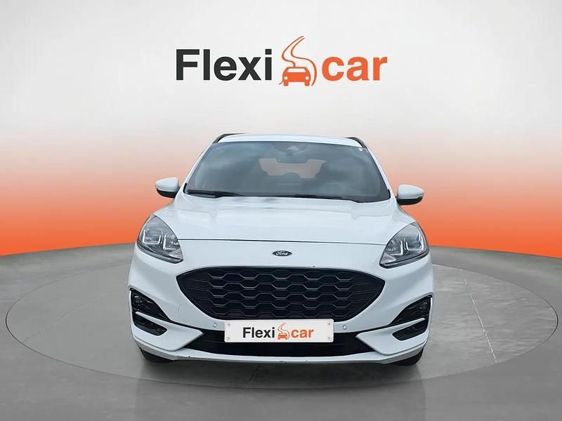 Usado Ford Kuga ST-Line 226 CV (166 kW) 2022 Blanco SUV