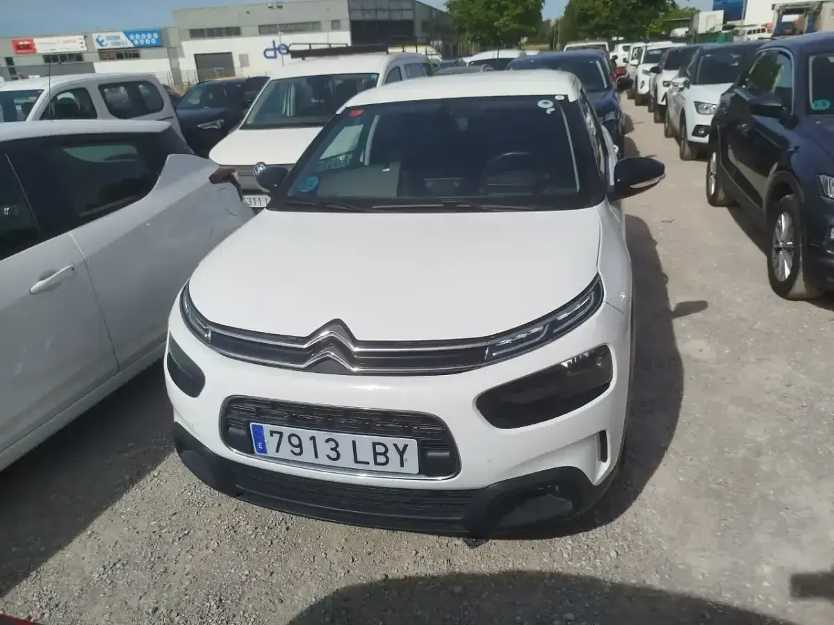 Usado Citroën C4 Cactus Feel 99 CV (72 kW) 2019 Blanco Utilitario