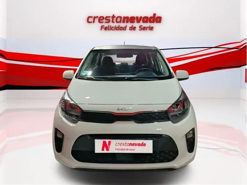 Usado Kia Picanto Comfort 67 CV (49 kW) 2022 Utilitario