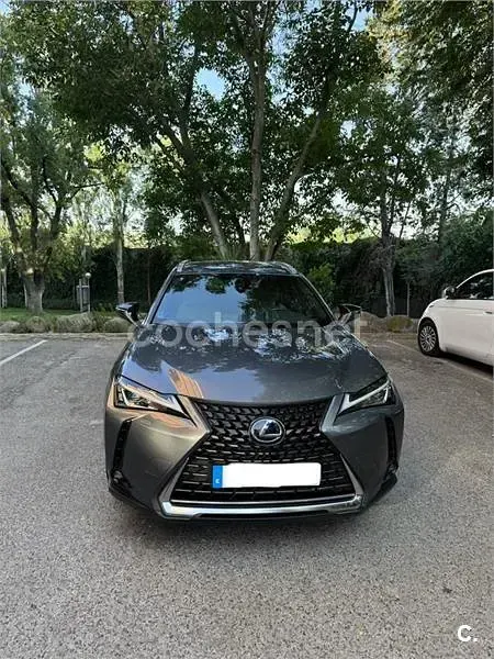 Usado Lexus UX Business Edition 184 CV (135 kW) 2020 Gris / plata SUV