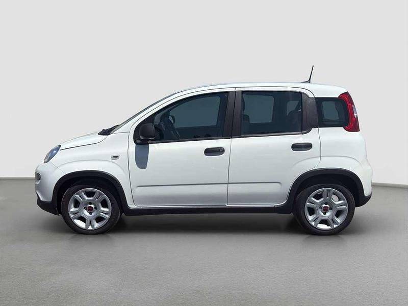 Usado Fiat Panda 71 CV (52 kW) 2023 Blanco Utilitario