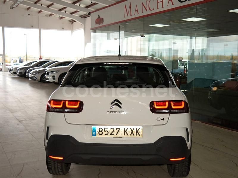Usado Citroën C4 Cactus Business Class 102 CV (75 kW) 2019 Blanco Utilitario