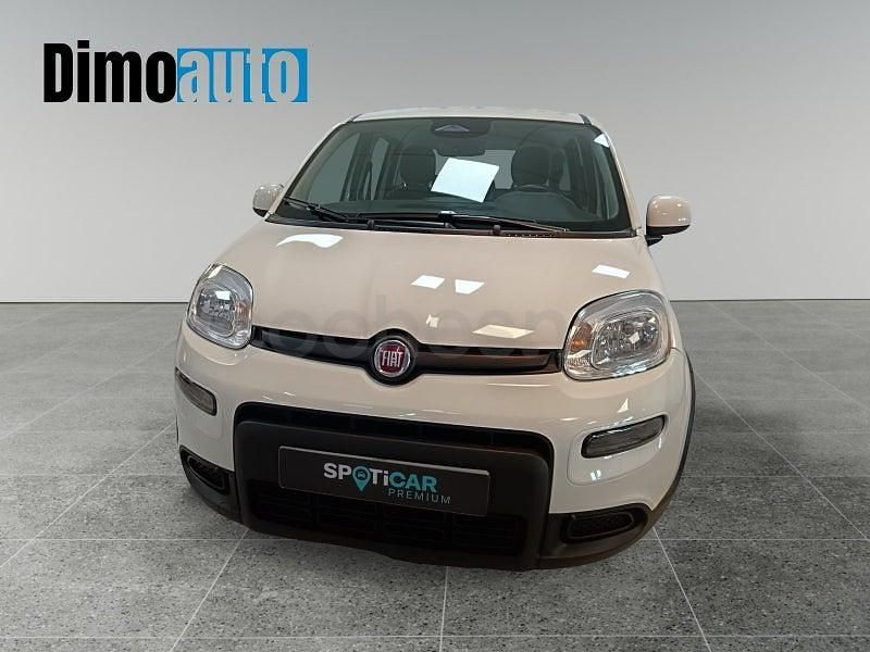 Usado Fiat Panda Icon 70 CV (51 kW) 2025 Blanco Utilitario
