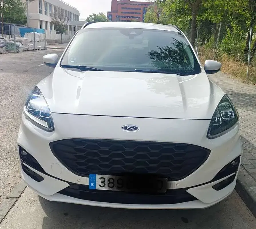 Usado Ford Kuga ST-Line 226 CV (166 kW) 2022 Blanco SUV