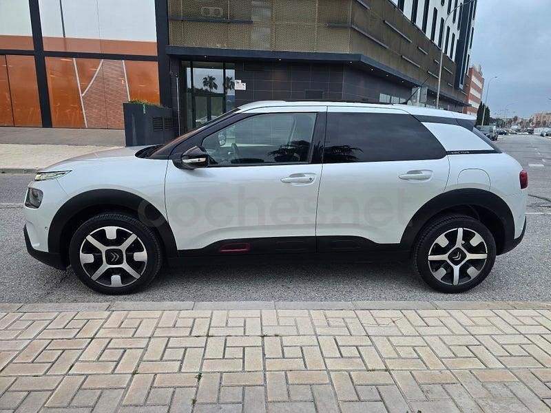 Usado Citroën C4 Cactus Shine 102 CV (75 kW) 2019 Blanco Utilitario