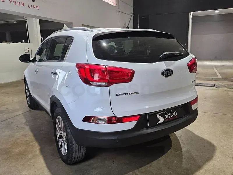 Usado Kia Sportage 116 CV (85 kW) 2014 Blanco SUV
