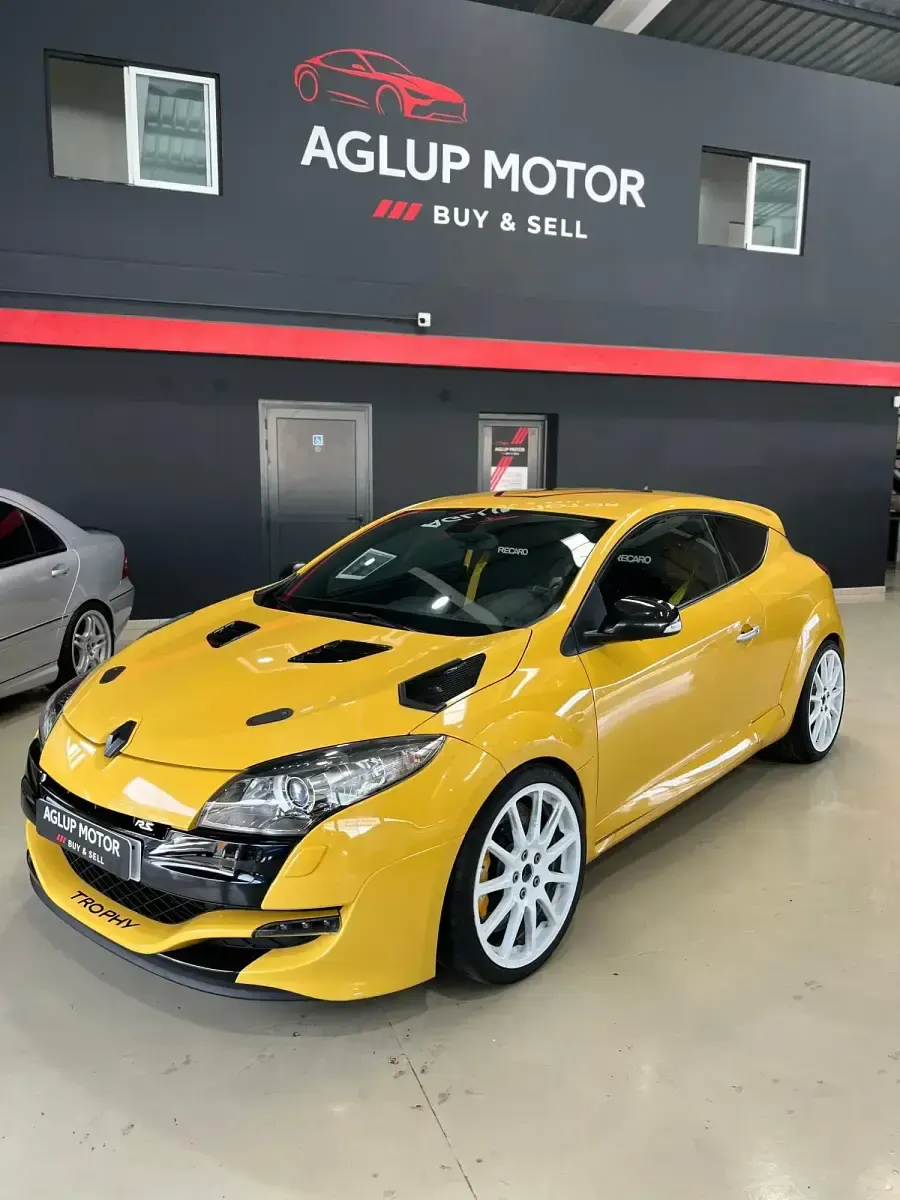 Usado Renault Mégane Coupé R.S. 250 CV (183 kW) 2010 Coupe