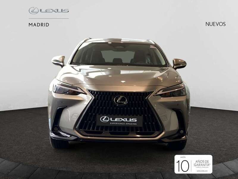 Nuevo Lexus NX350h 242 CV (177 kW) 2025 Gris SUV