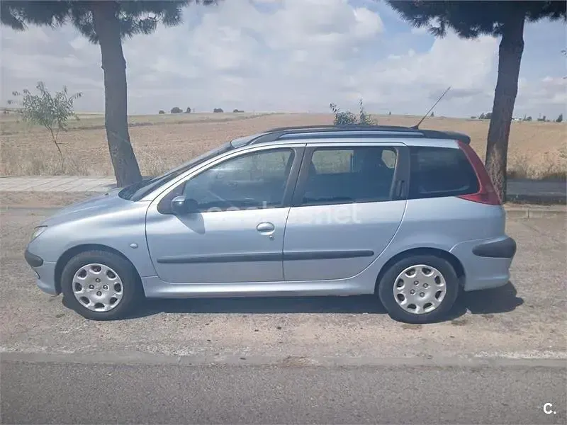 Usado Peugeot 206 90 CV (66 kW) 2004 Gris / plata Familiar