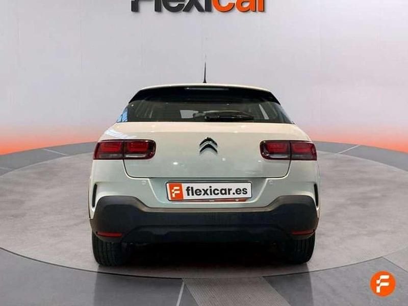 Usado Citroën C4 Cactus Business Class 99 CV (72 kW) 2019 Blanco Utilitario