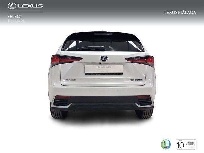 Usado Lexus NX300h 197 CV (144 kW) 2021 Blanco SUV