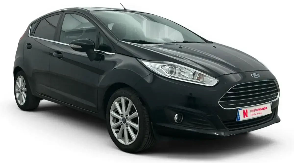 Usado Ford Fiesta Trend 101 CV (74 kW) 2016 Negro Utilitario