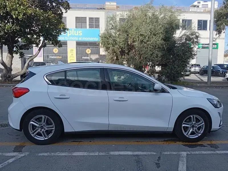 Brugt Ford Focus Trend 125 HK (91 kW) 2019 Hvid Sedan