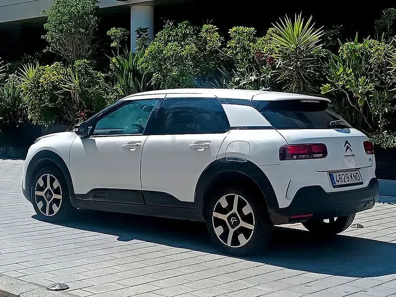 Usado Citroën C4 Cactus Business Class 102 CV (75 kW) 2019 Blanco Utilitario