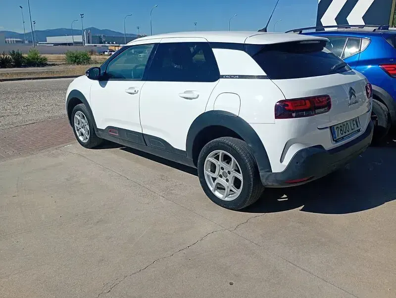 Usado Citroën C4 Cactus Shine 100 CV (73 kW) 2020 Blanco Utilitario