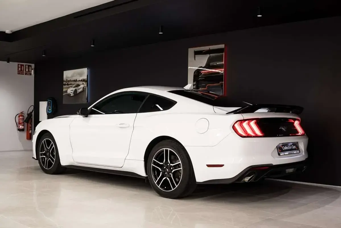 Usado Ford Mustang Fastback 291 CV (214 kW) 2021 Blanco Coupe