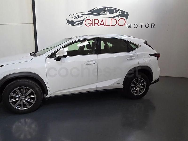 Usado Lexus NX300h 197 CV (144 kW) 2017 Blanco SUV