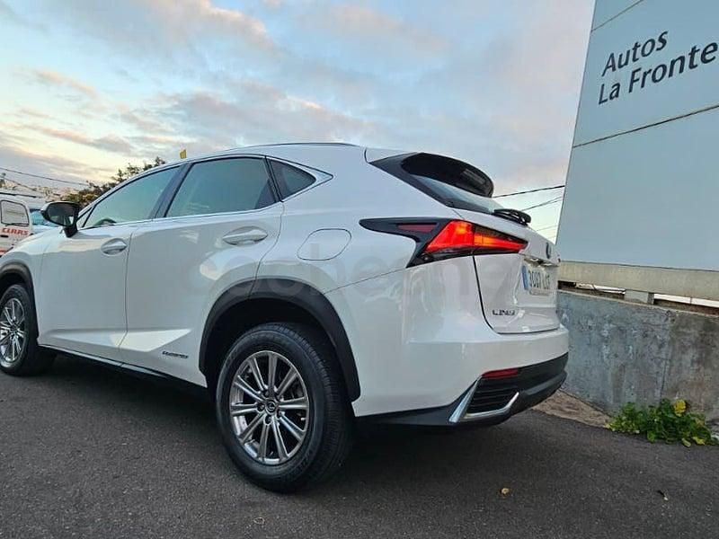 Usado Lexus NX300h Business Edition 197 CV (144 kW) 2019 Blanco SUV