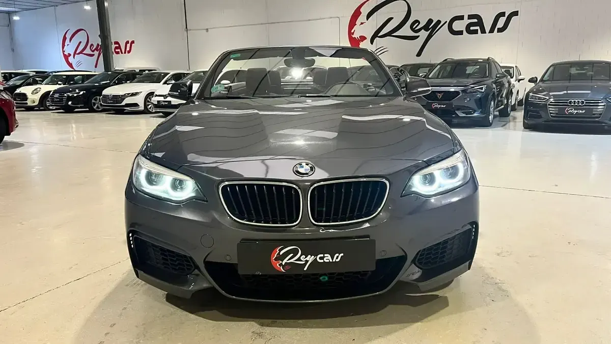 Usado BMW 218 136 CV (100 kW) 2019 Gris Descapotable