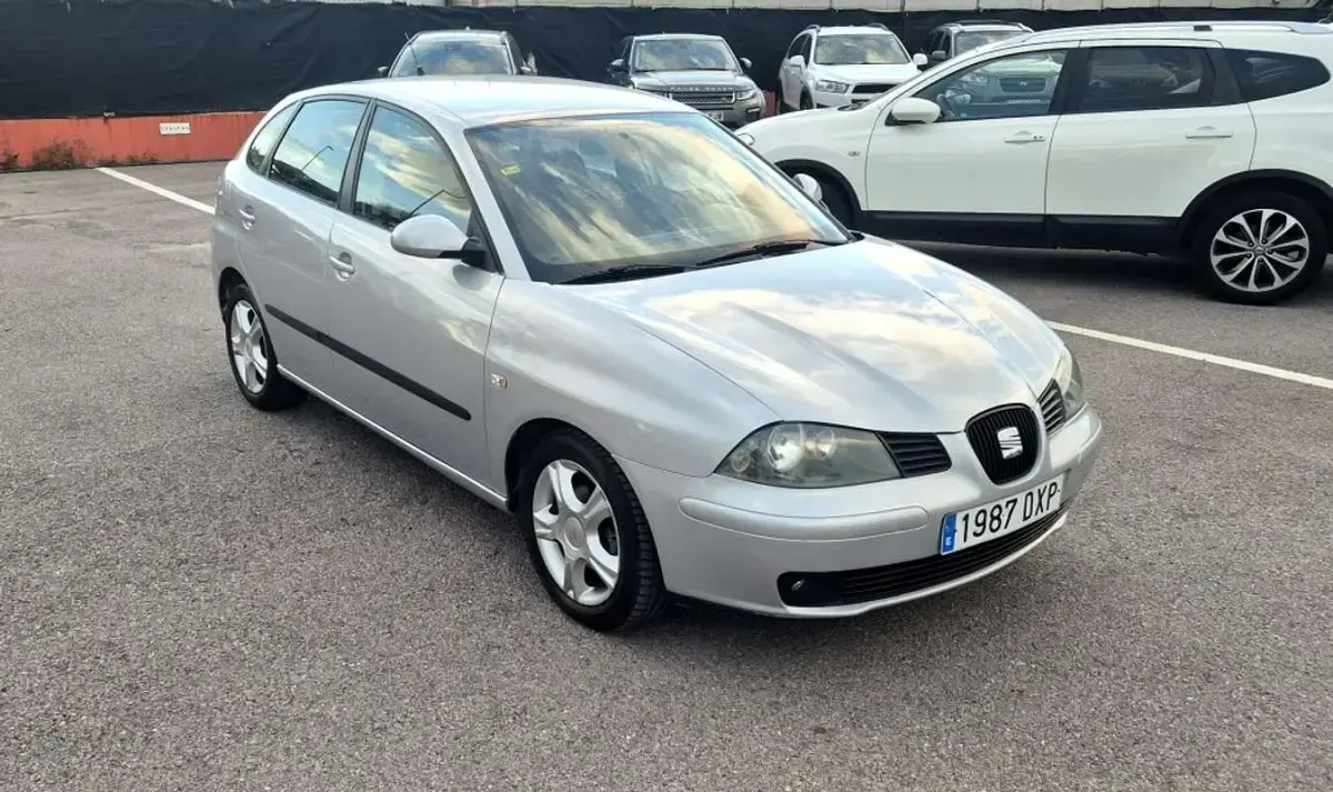 Usado Seat Ibiza 101 CV (74 kW) 2006 Gris / plata Utilitario