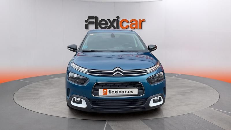 Usado Citroën C4 Cactus Shine 102 CV (75 kW) 2019 Azul Utilitario