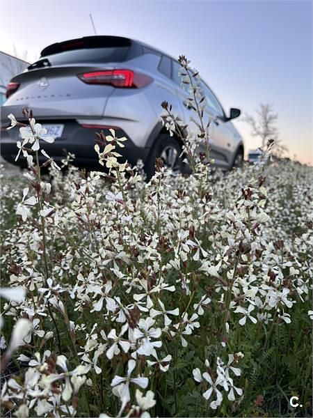 Usado Opel Grandland X Business Edition 130 CV (95 kW) 2023 Gris / plata SUV