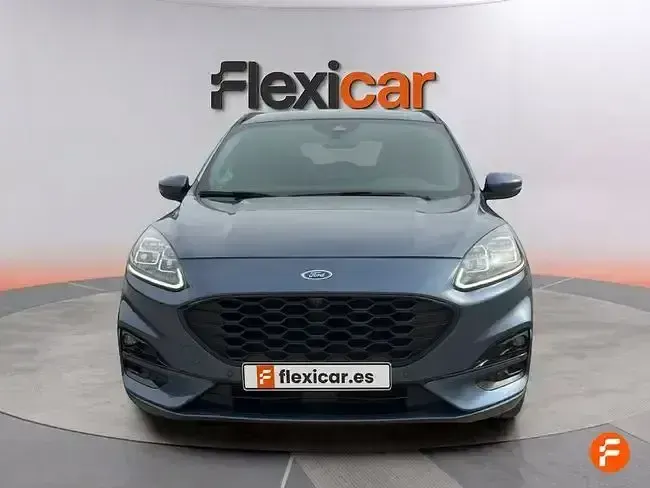 Usado Ford Kuga ST-Line X 150 CV (110 kW) 2022 Gris SUV