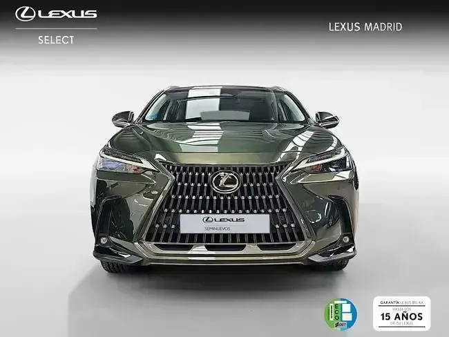 Usado Lexus NX350h Business Edition 242 CV (177 kW) 2022 Verde SUV