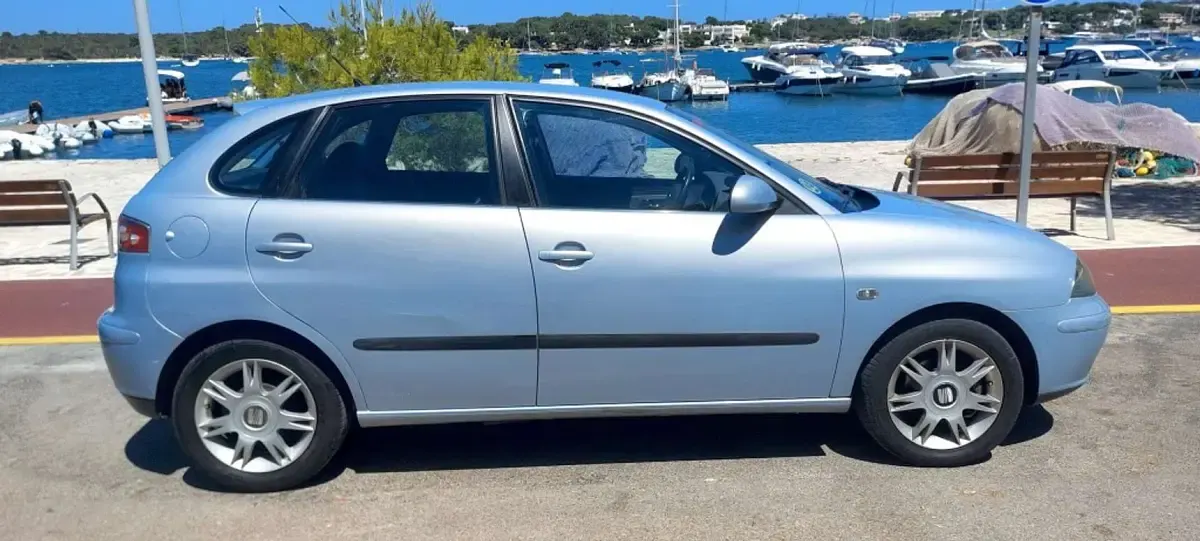 Usado Seat Ibiza 75 CV (55 kW) 2003 Gris Utilitario