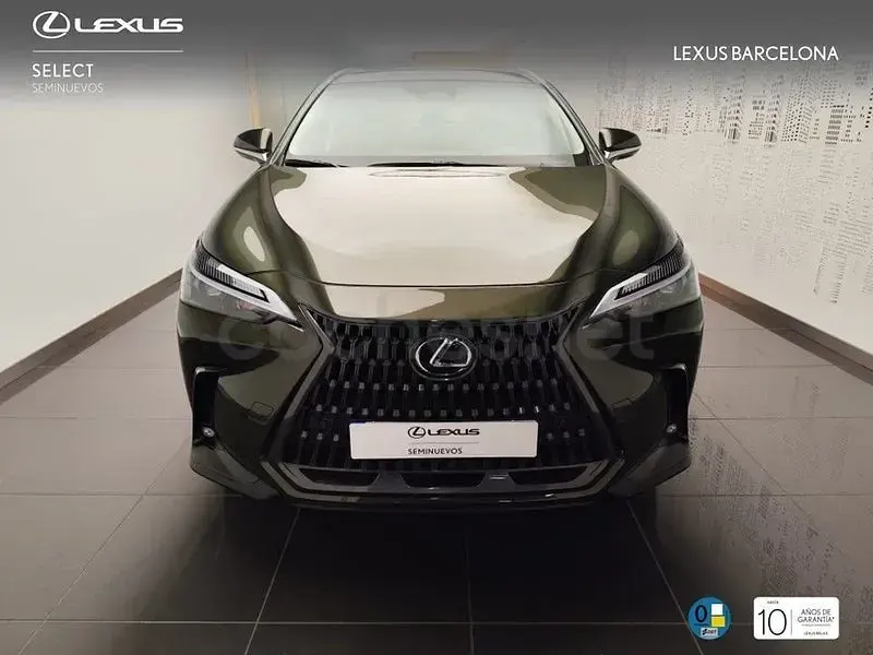 Usado Lexus NX450h+ 309 CV (227 kW) 2025 Verde SUV