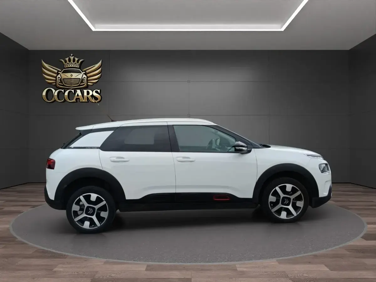 Usado Citroën C4 Cactus Shine 100 CV (73 kW) 2019 Blanco Utilitario