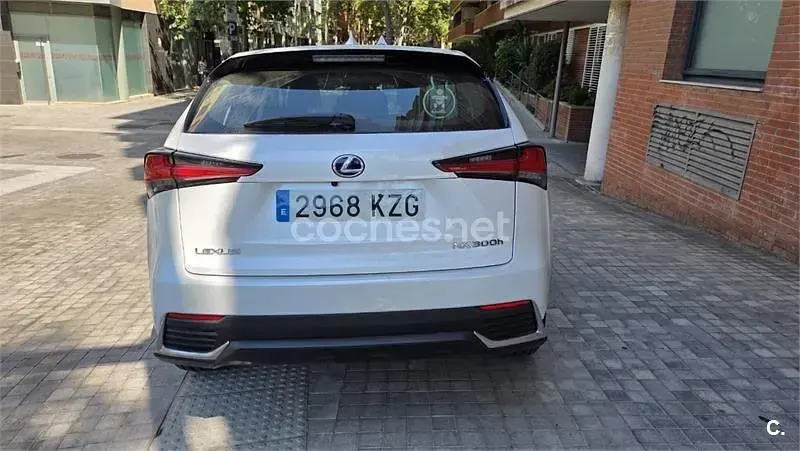 Usado Lexus NX300h Sport Line 197 CV (144 kW) 2019 Blanco SUV