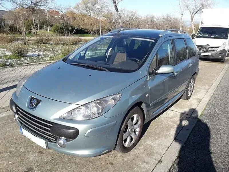 Usado Peugeot 307 110 CV (80 kW) 2006 Verde Familiar