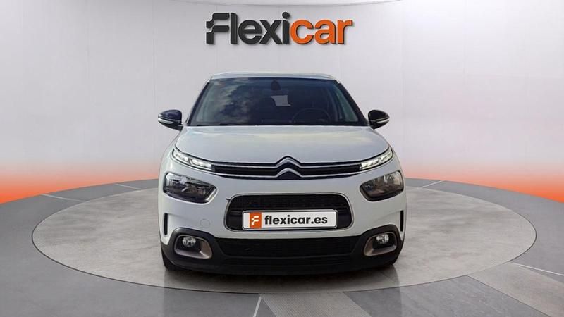 Usado Citroën C4 Cactus Feel 102 CV (75 kW) 2019 Blanco Utilitario