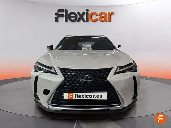 Usado Lexus UX Business Edition 184 CV (135 kW) 2020 Blanco SUV