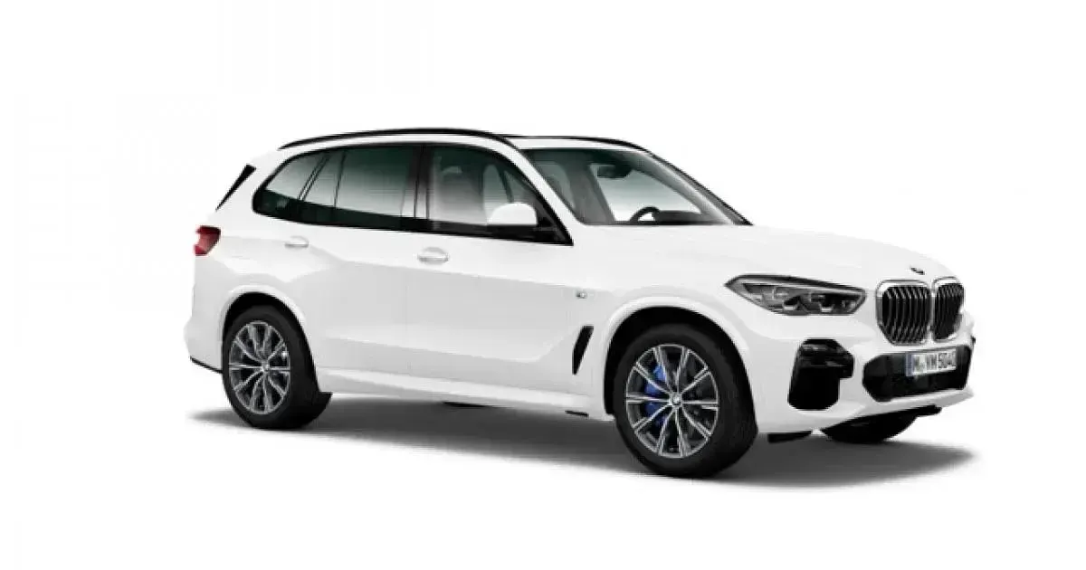 Usado BMW X5 265 CV (194 kW) 2019 SUV