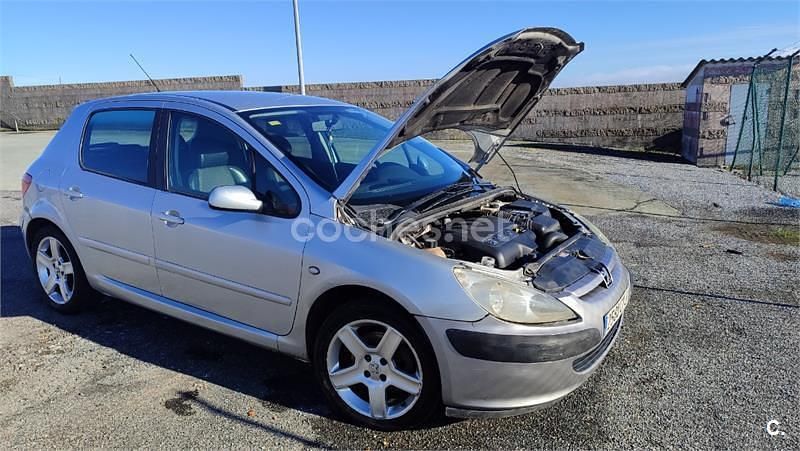 Usado Peugeot 307 136 CV (100 kW) 2004 Gris / plata Familiar