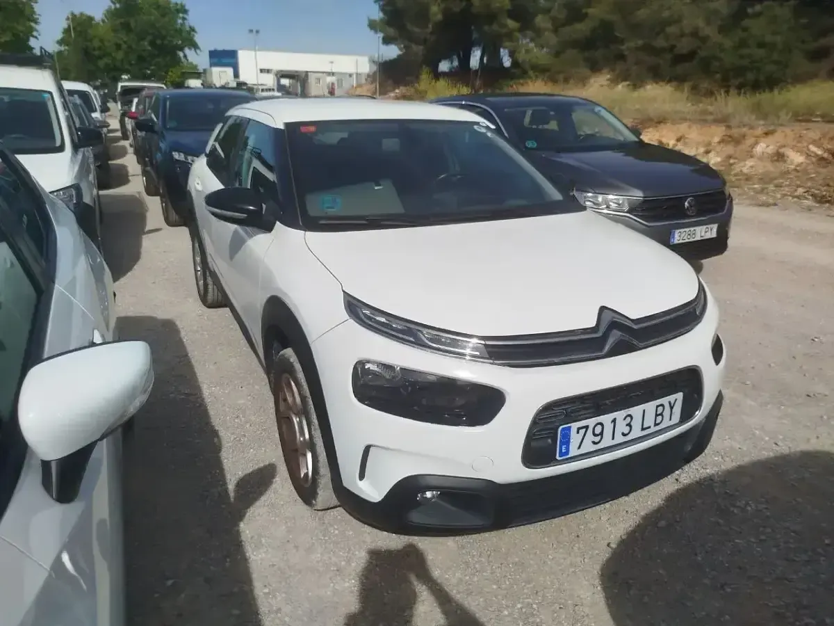 Usado Citroën C4 Cactus Feel 99 CV (72 kW) 2019 Blanco Utilitario
