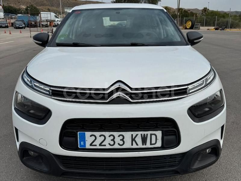 Blanco Usado 2019 Citroën C4 Cactus Live Utilitario | 10.900 € (Precio justo) - Imagen 1/4