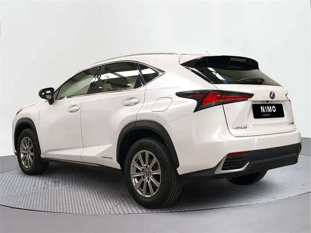 Usado Lexus NX300h Business Edition 197 CV (144 kW) 2020 SUV
