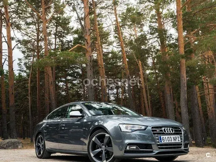 Usado Audi S5 Sportback Black Edition 333 CV (244 kW) 2012 Gris / plata Utilitario