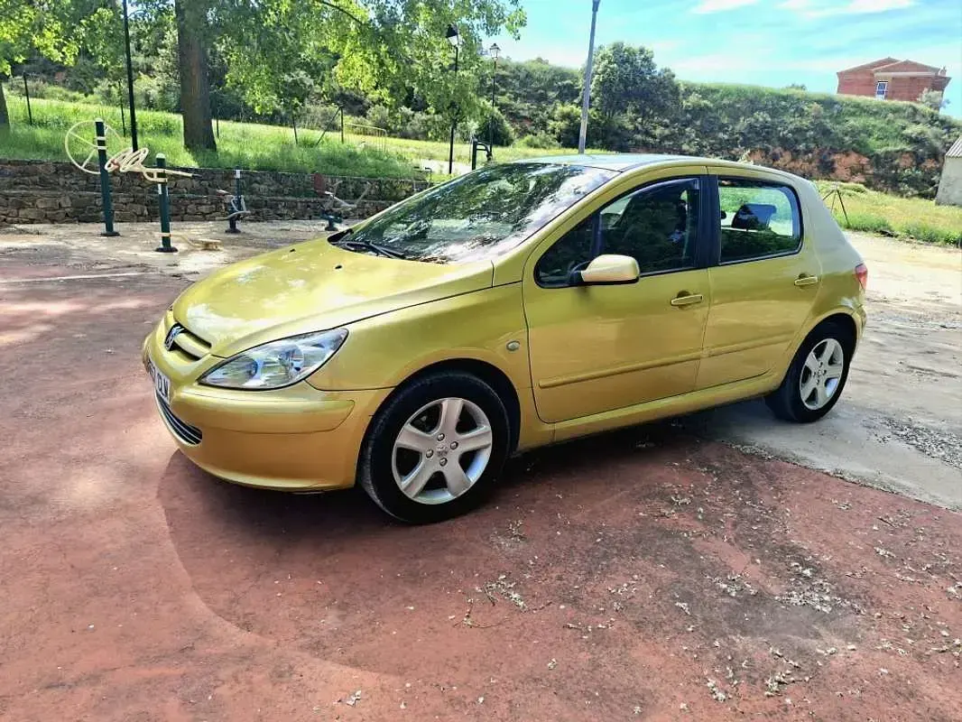 Usado Peugeot 307 110 CV (80 kW) 2005 Utilitario