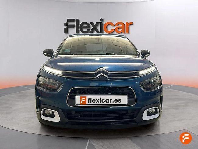 Usado Citroën C4 Cactus Feel 102 CV (75 kW) 2019 Azul Utilitario