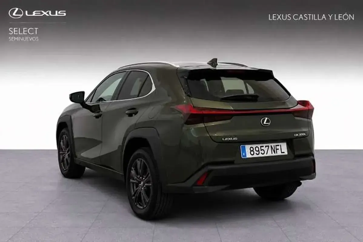 Usado Lexus UX 300h 199 CV (146 kW) 2025 Verde SUV