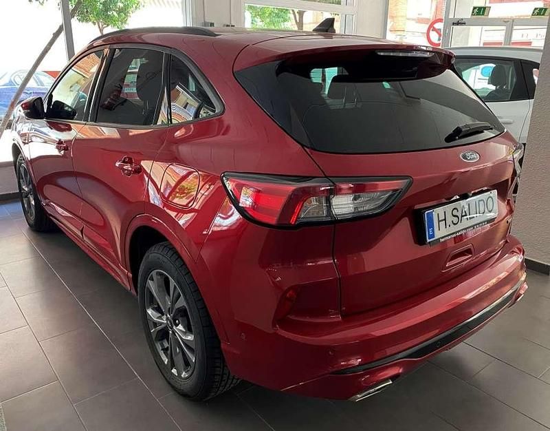 Usado Ford Kuga ST-Line 226 CV (166 kW) 2023 Rojo SUV
